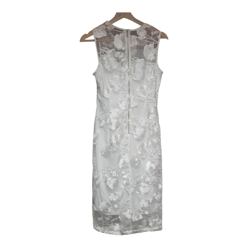 Calvin Klein Women's Petite‎ Embroidered Mesh Dress (6, White)